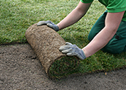 Sodding - Sod Installation